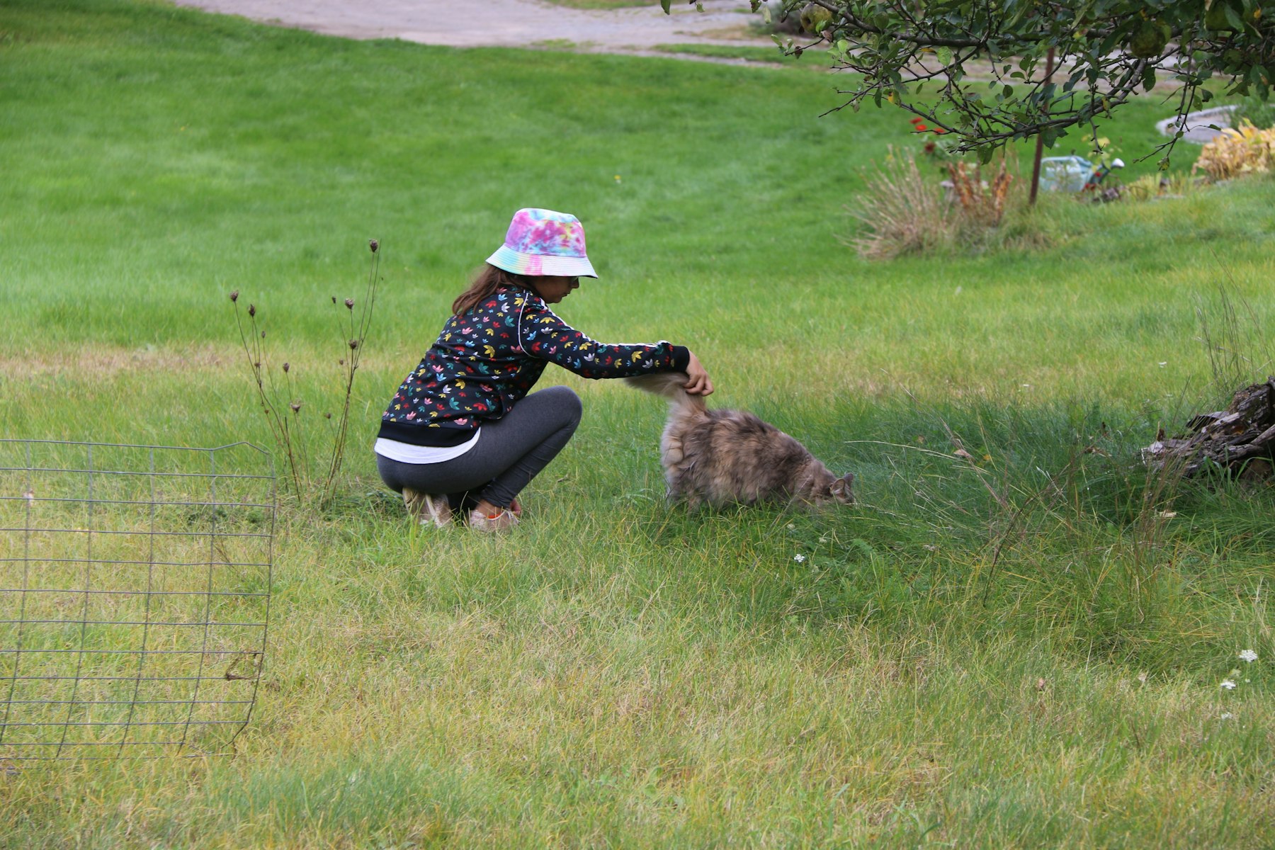 A walker working one-on-one with a dog in a field